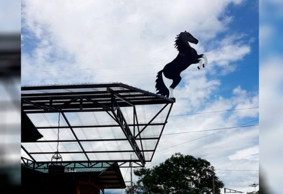 Wrought iron decoration