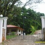 Portones hierro forjado