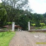 Portones hierro forjado