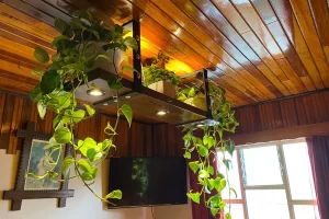 LÁMPARAS Y CANDELABROS