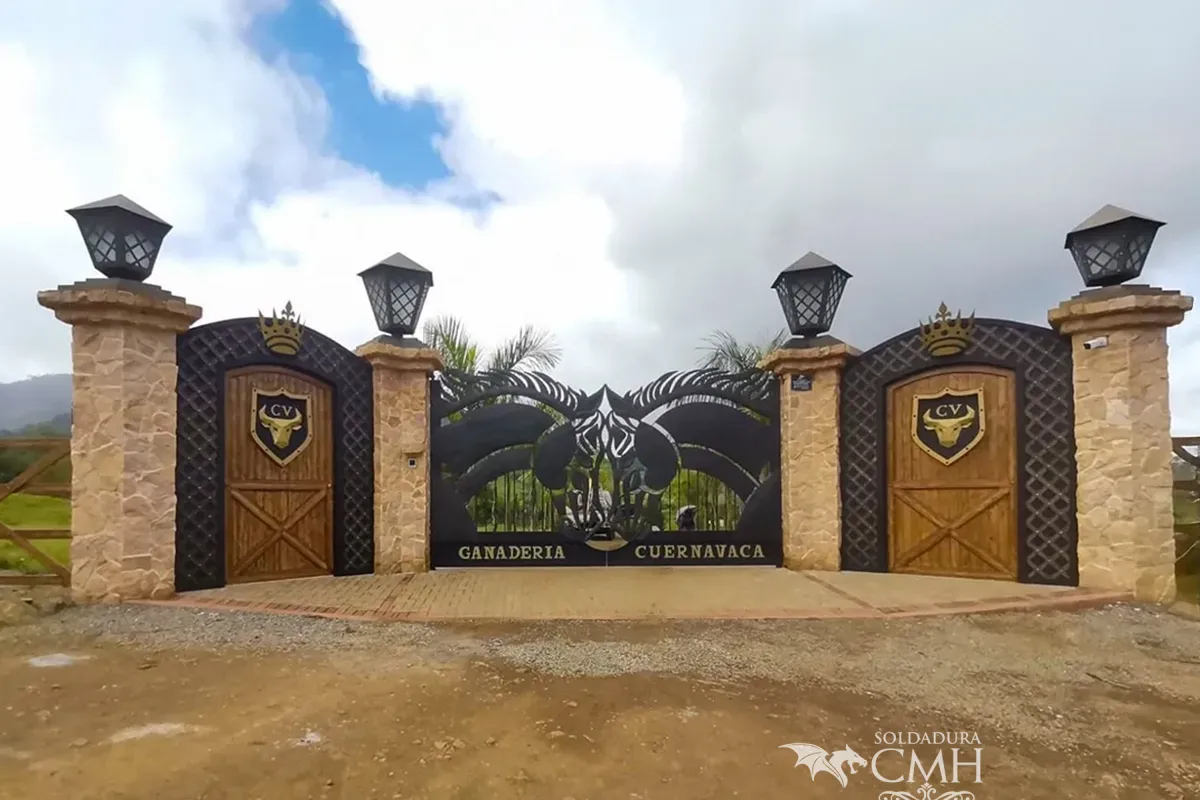 Custom residential gate featuring artistic design, natural stone, and premium finishes